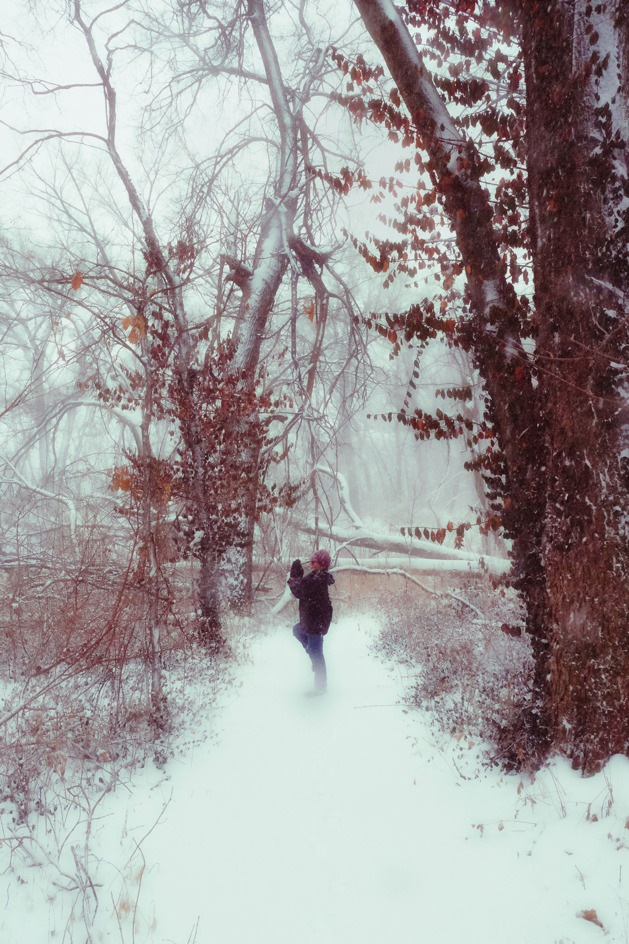 Snow Walk