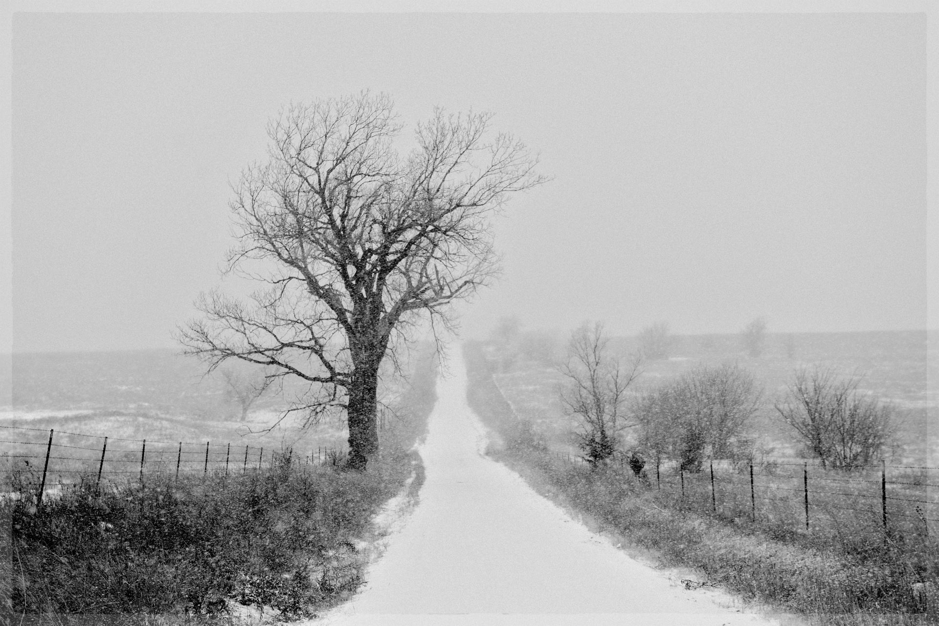 Road 90 in Winter