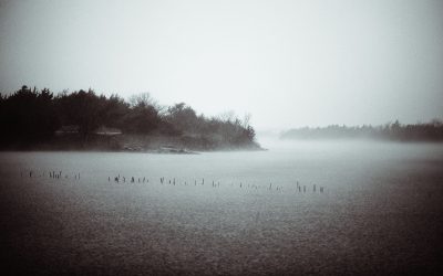 Monochrome moody study of lake and landscape