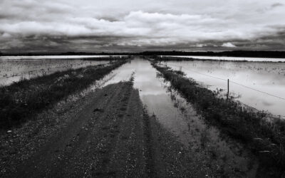 Water cover road stretching to distance