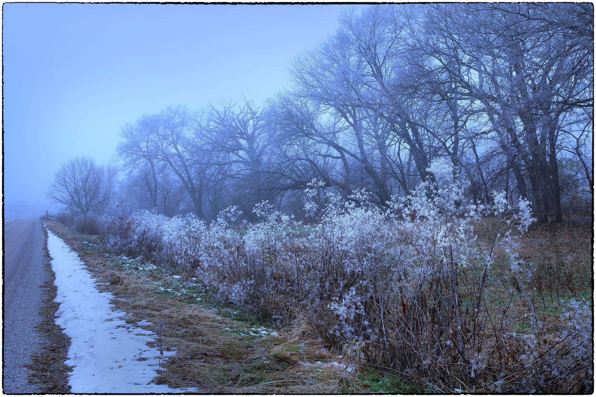 Roadside Frost