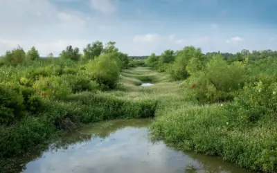 Flint Hills Culvert and Water Channel