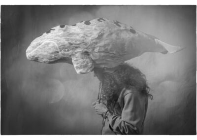 Lulu and the Whale