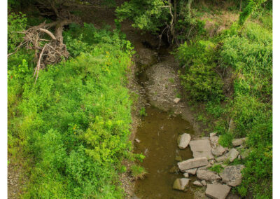 River area where the wild cardinal flower was found